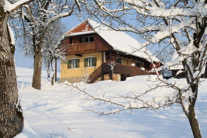 Country House Novosel Hostal Duga Resa Exterior foto